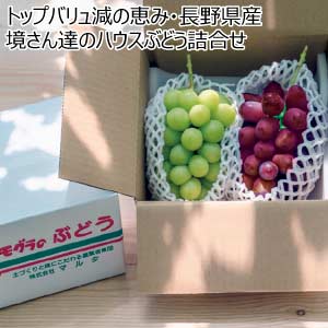トップバリュ減の恵み・長野県産 境さん達のハウスぶどう詰合せ(お届け期間：7/13〜8/15)【夏の贈りもの・お中元】