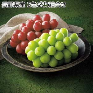 長野県産 2色ぶどう詰合せ(お届け期間：11/11〜12/31)【冬の贈りもの・お歳暮】
