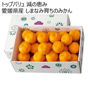 トップバリュ 減の恵み 愛媛県産 しまなみ育ちのみかん(お届け期間：11/21〜12/31)【冬の贈りもの・お歳暮】