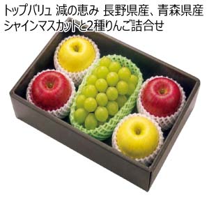 トップバリュ 減の恵み 長野県産、青森県産 シャインマスカットと2種りんご詰合せ(お届け期間：11/21〜12/31)【冬の贈りもの・お歳暮】