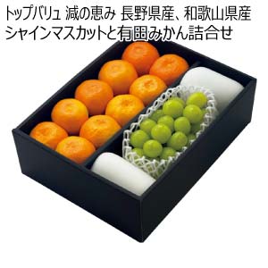 トップバリュ 減の恵み 長野県産、和歌山県産 シャインマスカットと有田みかん詰合せ(お届け期間：11/21〜12/31)【冬の贈りもの・お歳暮】