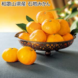 和歌山県産 石地みかん(お届け期間：12/1〜12/31)【冬の贈りもの・お歳暮】
