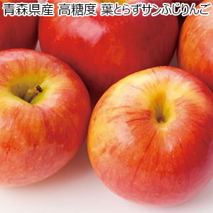 青森県産 高糖度 葉とらずサンふじりんご(お届け期間：11/21〜12/31)【冬の贈りもの・お歳暮】