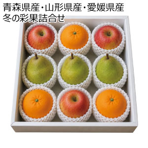 青森県産・山形県産・愛媛県産 冬の彩果詰合せ(お届け期間：11/21〜12/31)【冬の贈りもの・お歳暮】