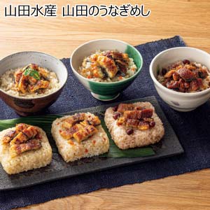 山田水産 山田のうなぎめし【夏の贈りもの・お中元】