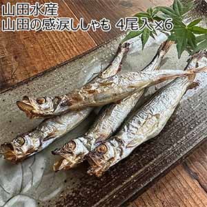 山田水産 山田の感涙ししゃも 4尾入×6【おいしいお取り寄せ】