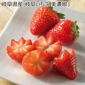 岐阜県産 岐阜いちご「美濃娘」(お届け期間：12/11〜12/31)【冬の贈りもの・お歳暮】