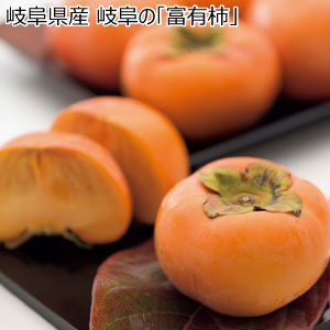 岐阜県産 岐阜の「富有柿」(お届け期間：11/11〜12/31)【冬の贈りもの・お歳暮】