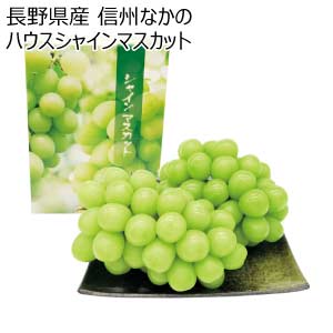 長野県産 信州なかの ハウスシャインマスカット(お届け期間：7/25〜8/15)【夏の贈りもの・お中元】