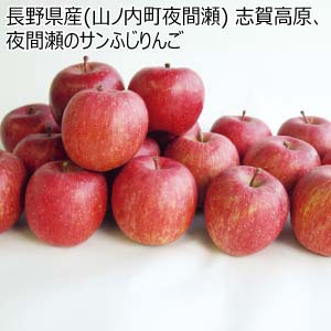 長野県産(山ノ内町夜間瀬) 志賀高原、夜間瀬のサンふじりんご(お届け期間：12/5〜12/31)【冬の贈りもの・お歳暮】
