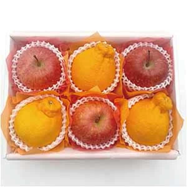 青森県産・愛知県産 ふじりんごとデコポンの詰合せ【母の日】