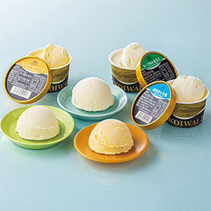 小岩井農場 自家製アイスクリーム10個セット【冬の贈りもの・お歳暮】[AET10]