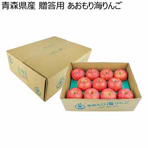 青森県産 贈答用 あおもり海りんご (お届け期間：12/1〜12/31)【冬ギフト・お歳暮】