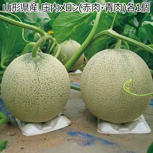 山形県産 庄内メロン(赤肉・青肉)各1個(お届け期間：7/5〜8/10)【夏の贈りもの・お中元】