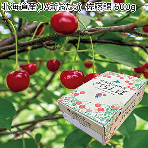北海道産(JA新おたる) 佐藤錦 600g(お届け期間：6/25〜7/17)【夏の贈りもの・お中元】
