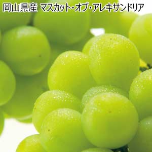 岡山県産 マスカット・オブ・アレキサンドリア(お届け期間：7/3〜7/31)【夏の贈りもの・お中元】