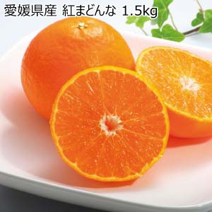 愛媛県産 紅まどんな 1.5kg(お届け期間：11/25〜12/31)【冬の贈りもの・お歳暮】