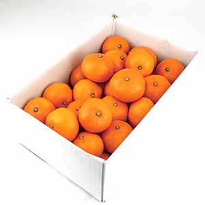 愛媛県産 カラマンダリン 3kg【母の日】