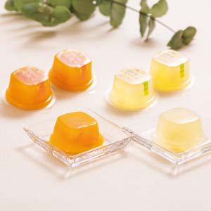 セゾンファクトリー 国産果実ゼリー20個詰合せ【夏の贈りもの・お中元】[RKJ-50]