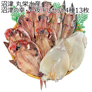 沼津 丸栄水産 沼津の幸・一夜干しセット4種13枚【冬の贈りもの・お歳暮】