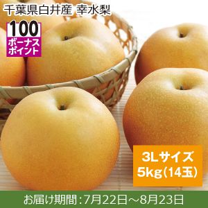 千葉県白井産 幸水梨 3Lサイズ、5kg(14玉)【ふるさとの味・南関東】