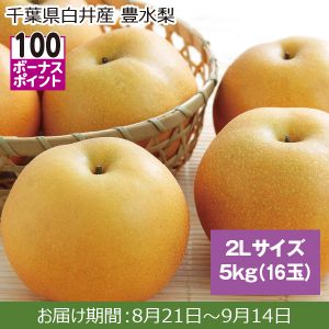 千葉県白井産 豊水梨 2Lサイズ、5kg(16玉)【ふるさとの味・南関東】