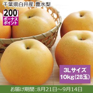 千葉県白井産 豊水梨 3Lサイズ、10kg(28玉)【ふるさとの味・南関東】