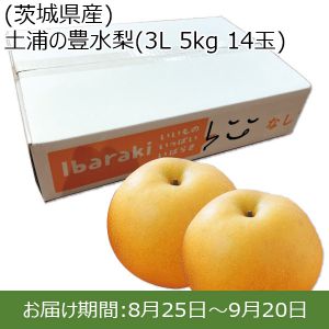 茨城県産 土浦の豊水梨 3L 5kg 14玉【ふるさとの味・北関東】