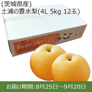 茨城県産 土浦の豊水梨 4L 5kg 12玉【ふるさとの味・北関東】