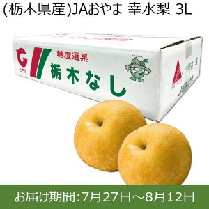 栃木県産　JAおやま 幸水梨 3L 2.5kg 8玉【ふるさとの味・北関東】