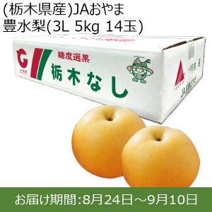 栃木県産　JAおやま 豊水梨 3L 5kg 14玉【ふるさとの味・北関東】