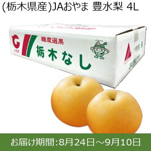 栃木県産　JAおやま 豊水梨 4L 2.5kg 7玉【ふるさとの味・北関東】