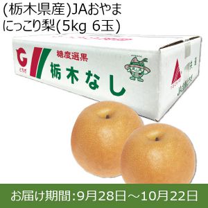 栃木県産　JAおやま にっこり梨 5kg ６玉【ふるさとの味・北関東】
