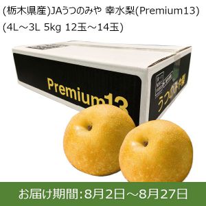 栃木県産　JAうつのみや 幸水梨（Premium13） 4L〜3L 5kg 12玉〜14玉【ふるさとの味・北関東】