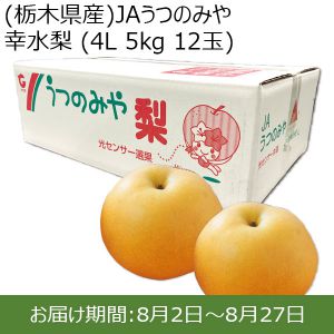 栃木県産　JAうつのみや 幸水梨 4L 5kg 12玉【ふるさとの味・北関東】
