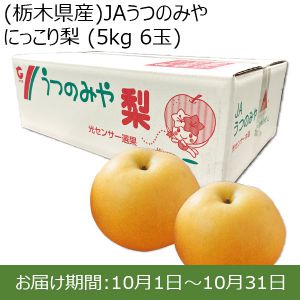 栃木県産　JAうつのみや にっこり梨 5kg ６玉【ふるさとの味・北関東】