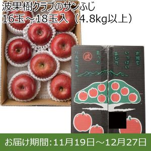 長野県産(波田地区)波果樹クラブのサンふじ 16玉〜18玉入(4.8kg以上)【お届け期間 11／19〜12／27】【ふるさとの味・北陸信越】