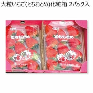 (茨城県)JA茨城旭村大粒いちご(とちおとめ)平パック2入【限定100点】【お届け期間2025/1/8-2025/2/23】【ふるさとの味・北関東】