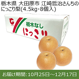 栃木県 大田原市 江崎哲治さんちのにっこり梨(4.5kg・8個入)【お届け期間：2024/10/25〜2024/12/17 】【ふるさとの味・北関東】