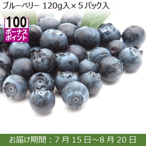 千葉県産 ブルーベリー 120ｇ入×５パック入【ふるさとの味・南関東】