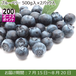 千葉県産 ブルーベリー 500ｇ入×2パック入【ふるさとの味・南関東】