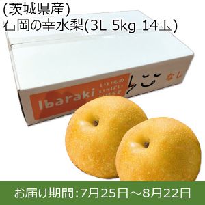 茨城県産 石岡の幸水梨 3L 5kg 14玉【ふるさとの味・北関東】