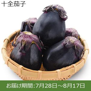 新潟県（JA新潟かがやき） 十全茄子 1.8kg以上（35個）【ふるさとの味・北陸信越】