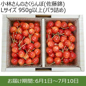 小林農園のさくらんぼ(佐藤錦)Lサイズ950g以上バラ詰め【お届け期間:6/10〜7/5】【ふるさとの味・北陸信越】