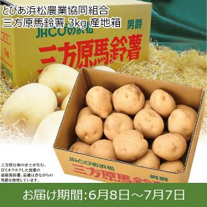 静岡県産（JAとぴあ浜松） 三方原馬鈴薯 3kg/1箱（産地箱）【ふるさとの味・東海】