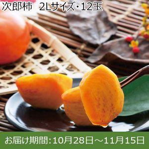 愛知県産(JA豊橋) 次郎柿　2Lサイズ・12玉【ふるさとの味・東海】