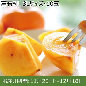 岐阜県産(JAぎふ) 富有柿 3Lサイズ・10玉【ふるさとの味・東海】