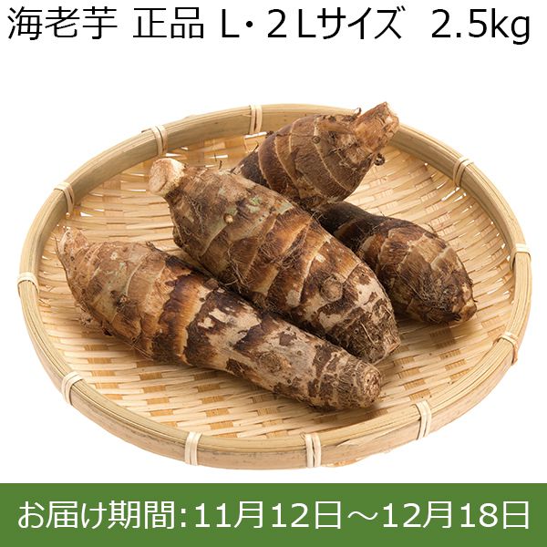 静岡県産(JA遠州中央) 海老芋 正品 L・２Lサイズ　2.5kg【ふるさとの味・東海】