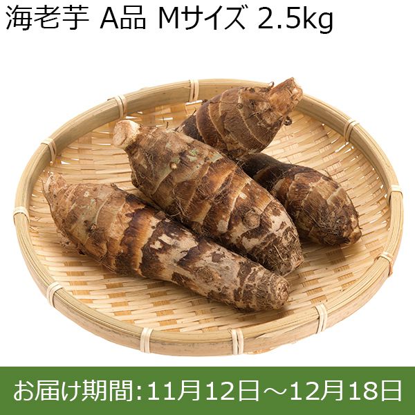 静岡県産(JA遠州中央) 海老芋 A品 Mサイズ 2.5kg【ふるさとの味・東海】