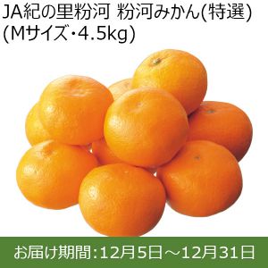 和歌山県産 JA紀の里粉河 粉河みかん（特選）Mサイズ・5kg【ふるさとの味・北関東】